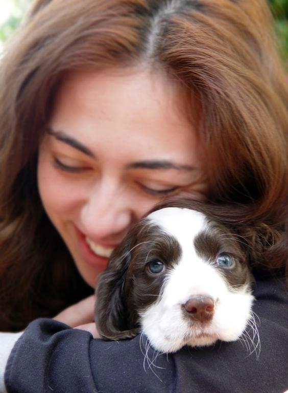 Young girl hugging a puppy