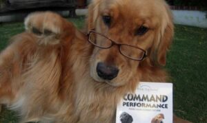 cooper with a book entitled command performance