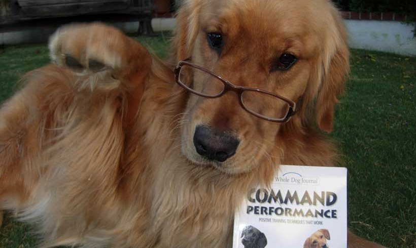 cooper with a book entitled command performance