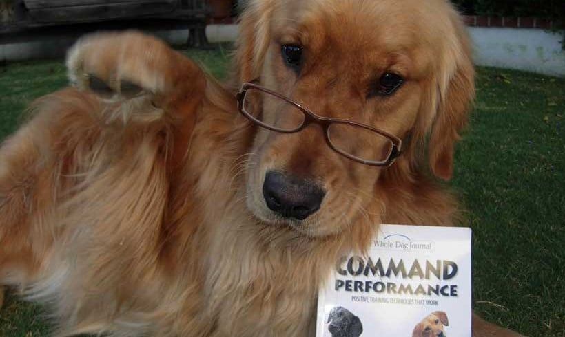 cooper with a book entitled command performance