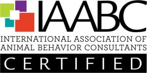 IAABC.jpg